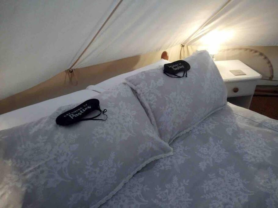 Hotel Cox Hill Glamping Badger Truro Esterno foto